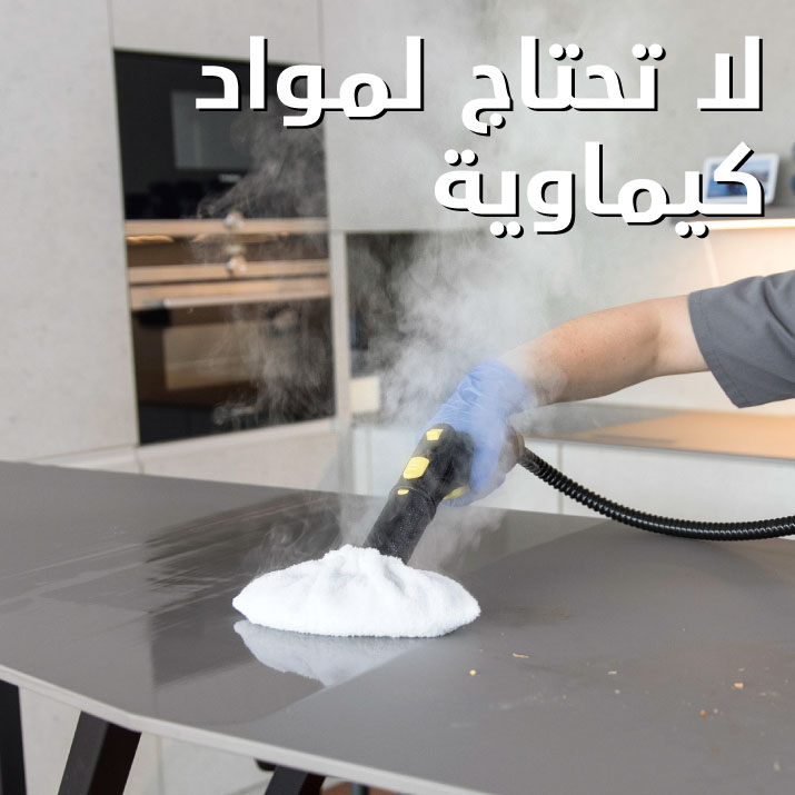 Pro-Banners_Steam-Cleaner_Mob_ar_2